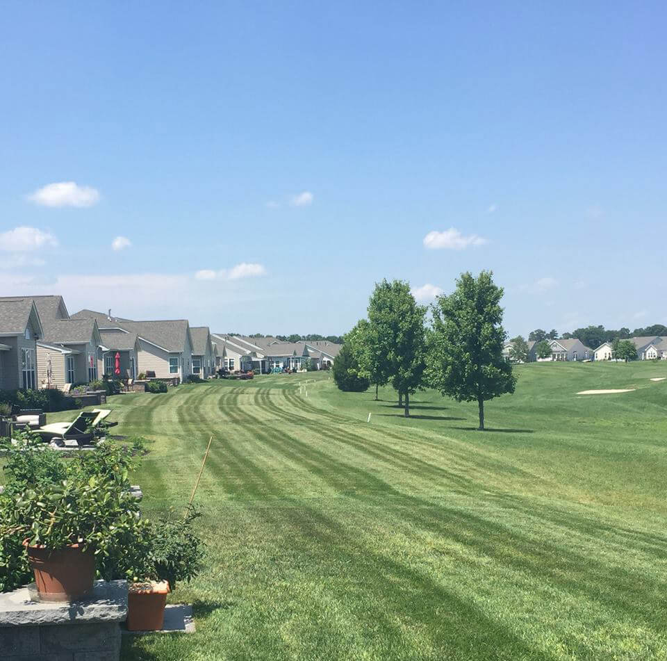 lawn-maintenance-Walker-Stripes